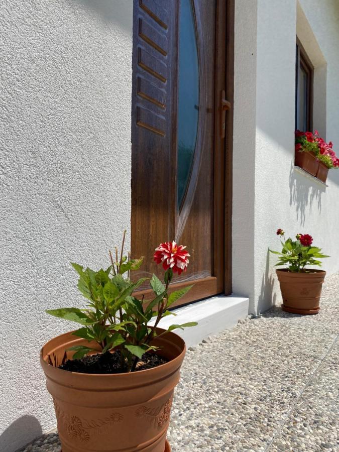 Villa Hill House Emir Bihać Exterior foto